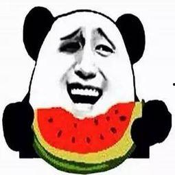 北美吃瓜群众笑哭视频,北美网友笑翻天的“吃瓜群众”搞笑视频大盘点