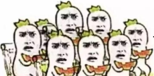 泉州吃瓜群众,吃瓜群众的欢乐盛宴