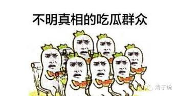 我没啥说的吃瓜群众