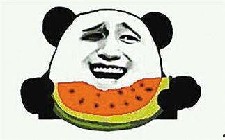 吃瓜群众真正是吃什么