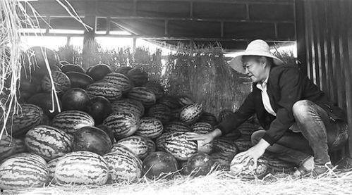 大陆渔民吃瓜群众视频,揭秘海上生活百态