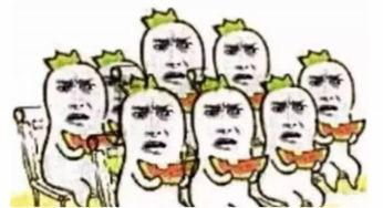 吃瓜群众小白评测,揭秘吃瓜群众的美食探秘之旅