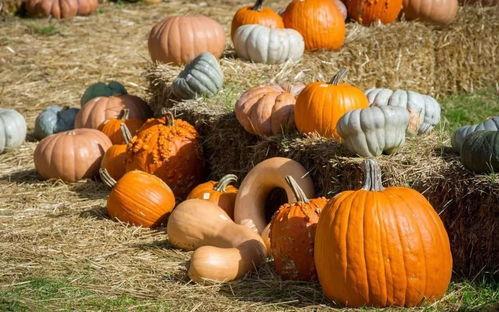 一位低调的吃瓜群众