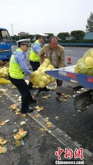 朱庄吃瓜群众,揭秘乡村生活百态